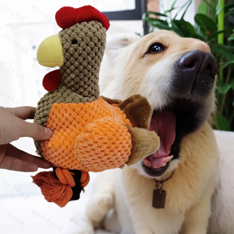 Happy dog pictured with a complete chicken-shaped plush pet toy